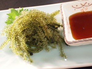 P6210434